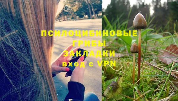 гидропоника Осташков